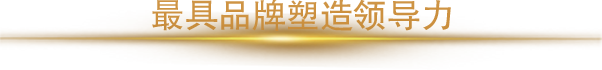 2018年度最具品牌塑造領(lǐng)導(dǎo)力人物獎(jiǎng)